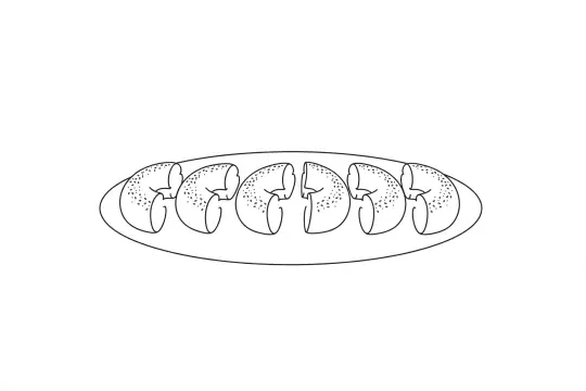 Bagel, catering dish line drawing