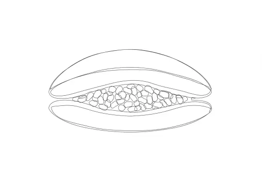 Dorayaki, catering dish line drawing
