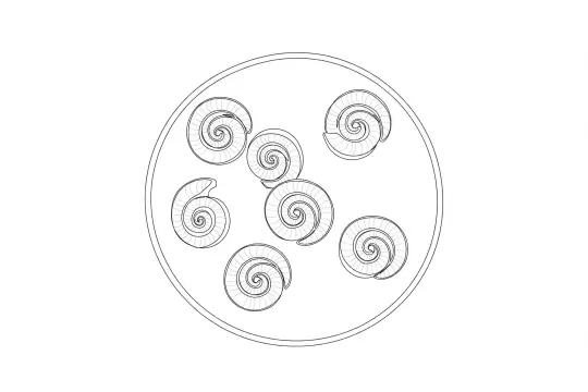 Whelk, catering dish line drawing